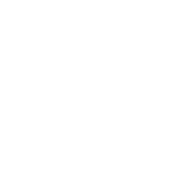 snow-flake Human Resources Recruitment
